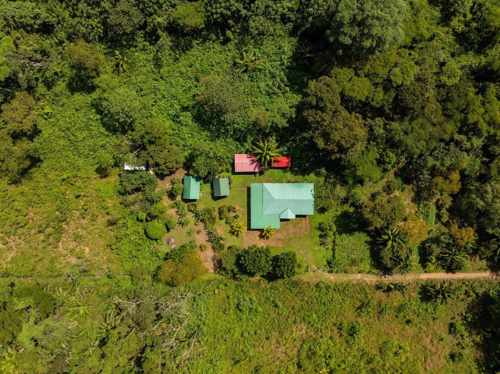 بويرتو مالدونادو Quirquincho House Lodge المظهر الخارجي الصورة